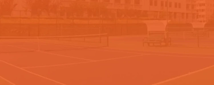 new ping pong paddle suppliers